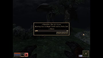 The Elder Scrolls III : Morrowind part 5