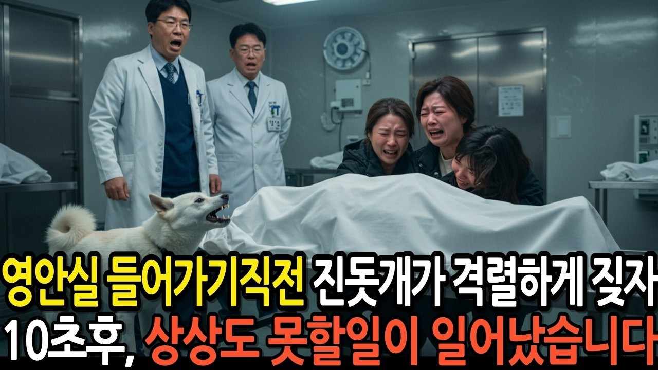 15층에서 추락한 일용직노동자, 사망판정받고 영안실 들어가기직전 진돗개가 격렬하게 짖자 10초후 상상도 못할일이 벌어지는데