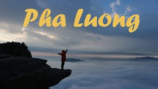 Gặp nạn khi chinh phục đỉnh Pha Luông (Phần 2)