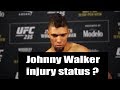 Johnny Walker UFC 235 post fight interview