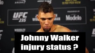 Johnny Walker UFC 235 post fight interview