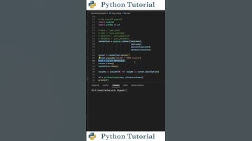 Turn A MySQL Query Into A Pandas Dataframe | Python Tutorial