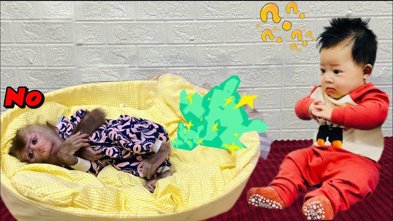 Обезьянка Диана покакала! И отказалась менять подгузник, потому что было холодно.