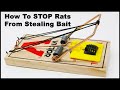 How To STOP Rats From STEALING bait with the Bait Cage. Mousetrap Monday