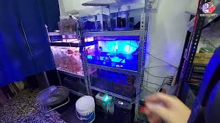 水族 擴建三尺訂制缸 2缸