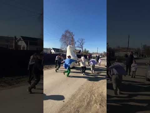 День рождение. Хоровод вокруг мишки.