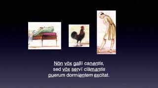 Cap. 14 – NOVVS DIES – Lēctiō grammatica