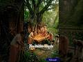 THE HIDDEN TEMPLE IN THE FOREST ❤️