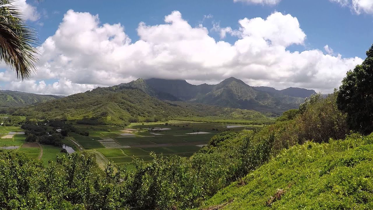 Hanalei Valley Lookout