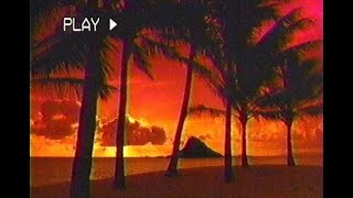 ＥＴＥＲＮＡＬ　ＰＡＲＡＤＩＳＥ™ - a Tropical Vaporwave Fantasy