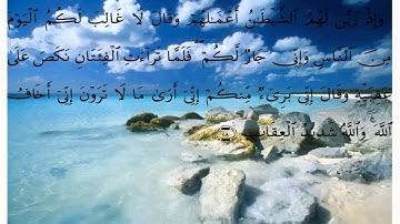 سورة الأنفال * بصوت علي الحذيفي