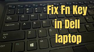 How to Enable/Disable Fn Key in Dell Laptop | Invert Fn Key | Fix Fn Key