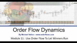 Celebrity Order Flow Dynamics Module 11 : Use Order Flow To Let Winners Run Profile