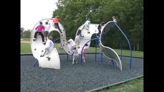 Mobius® Climber 12-Panel - Freestanding Play - Landscape Structures