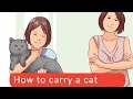 How to carry a cat updated 2021 || How to carry a cat without a carrier