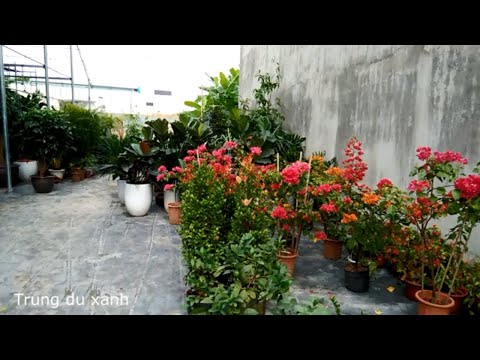 Ngày Phụ nữ Việt Nam tặng quà gì ý nghĩa nhất?