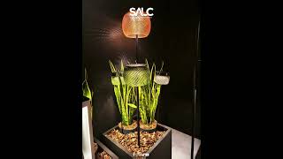 Pormenores de Iluminação | SALC - Lighting Consultants