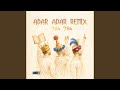 Adar Adar Remix