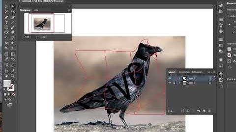 Envelope Distort Mesh tool