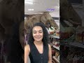 Elephant Goes Shopping in Thailand! 🐘🍌 | Newsround