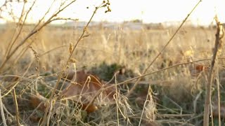 In-Depth: Concern over Utah's snowpack and water supply