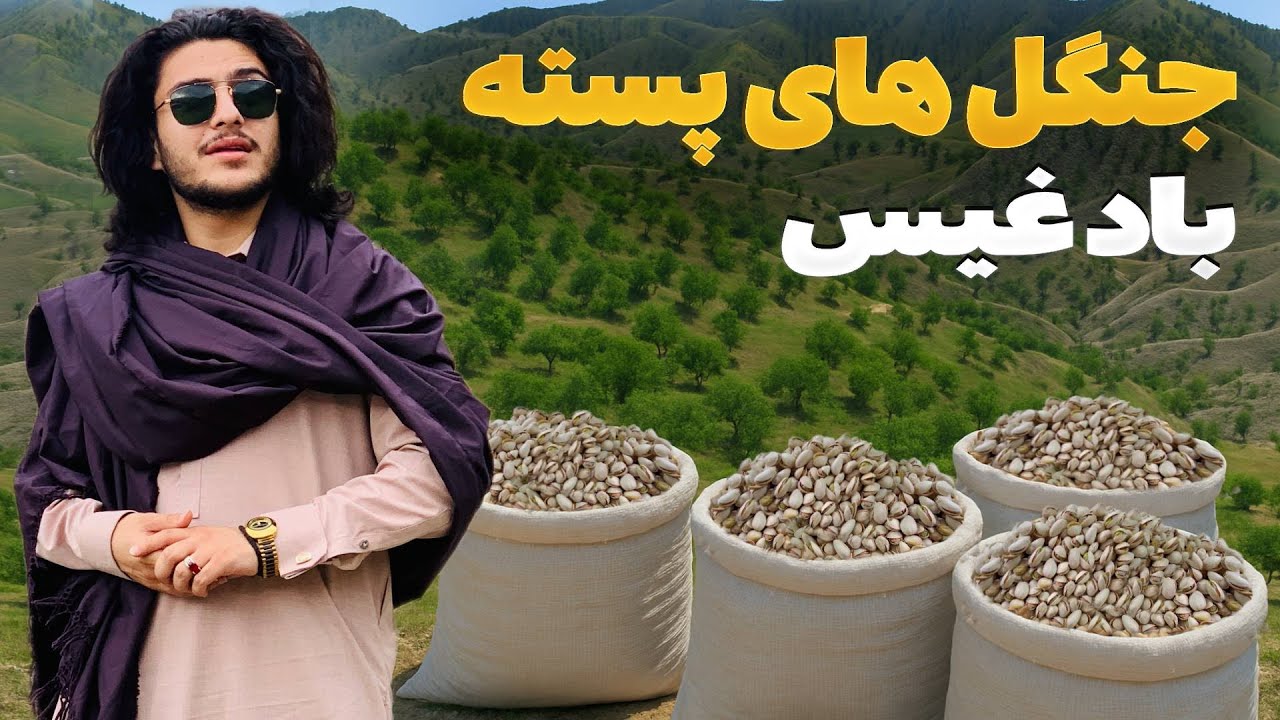 هی میدان طی میدان - دیدار باسط ایرج از جنگلهای پسته ولایت بادغیس