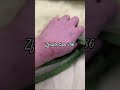 zfcollection 786 Eid gift 🎁 ek suit ke sath ek free