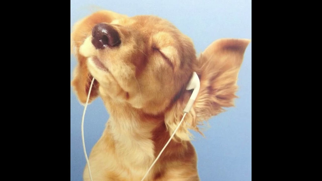 (free) uk garage + pinkpantheress type beat ~ ''shimmer''