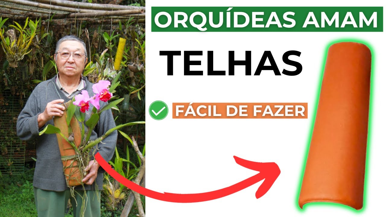 PASSO A PASSO PARA PLANTAR ORQUÍDEAS NA TELHA/ REPLANTE DE PHALEANOPOLIS - MASUJI KAYASIMA