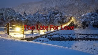 John Lundvik -  Too Late For Love (Lyrics)