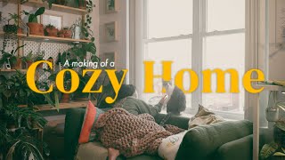 How to make a cozy living space | Plants, Cats, Light  #cozyhome  #prettylitter