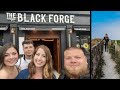 We spent two days in Dublin || Opening night Conor Mcgregor's pub || Cliffs of Moher