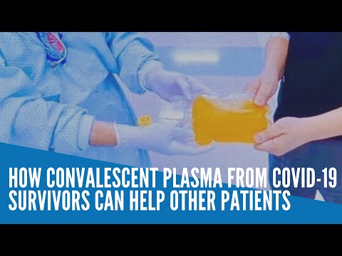 How convalescent plasma from COVID-19 survivors can help other patients