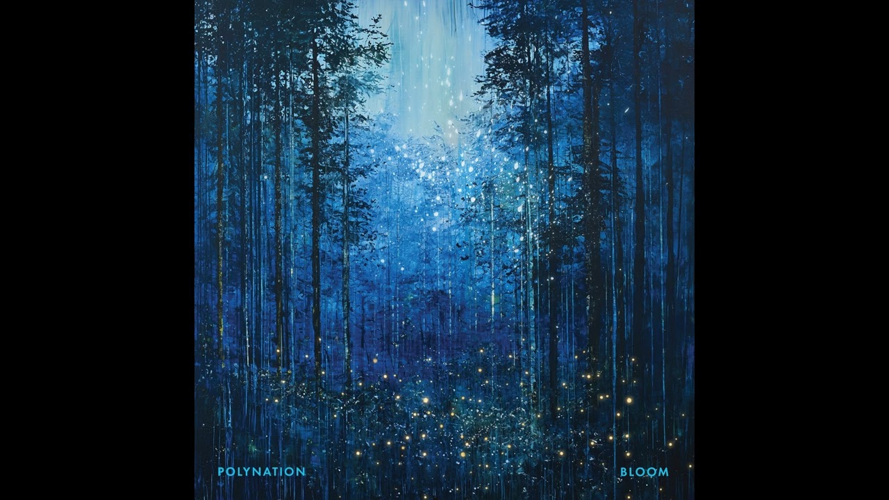 Obejrzyj Polynation - Bloom w YouTube Obejrzyj Polynation - Bloom w YouTube