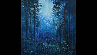 Polynation - Bloom
