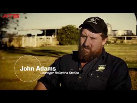 Alliance Automotive Reviews