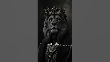 محمود الليثي كنت بتسلى 