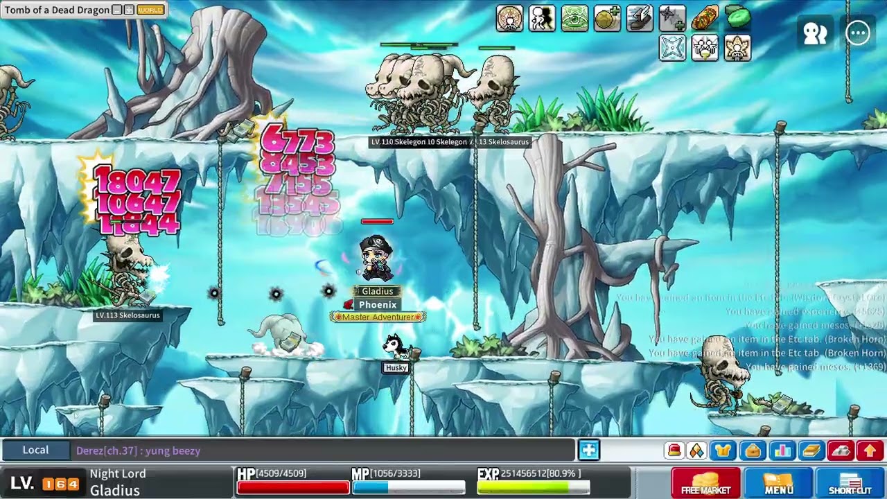 Artale - 164 Night Lord vs Skelegons - 2.52m exp/10min 1x