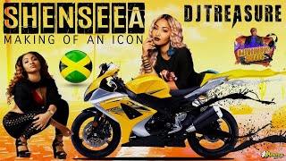 Shenseea Mix 2021 Raw | Shenseea Dancehall Mix 2021 | Making of an Icon | DJ Treasure | 18764807131