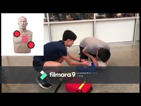 PE CPR Project