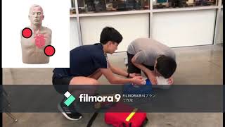 PE CPR Project