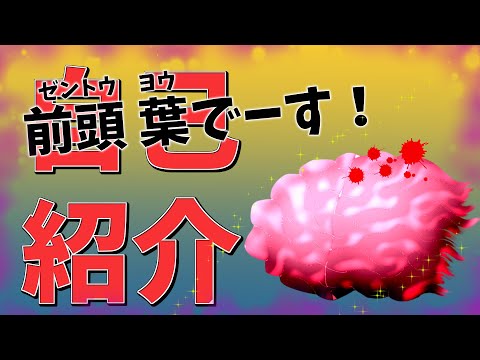 【新人Vtuber】自己紹介します！前頭 葉です！【はじめまして！】