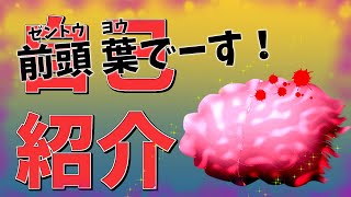 「【新人Vtuber】自己紹介します！前頭 葉です！【はじめまして！】」のサムネイル