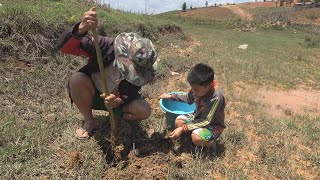 hnub no peb cov niam txiv tub mus khawb roob ris kab pum lo noj nawb