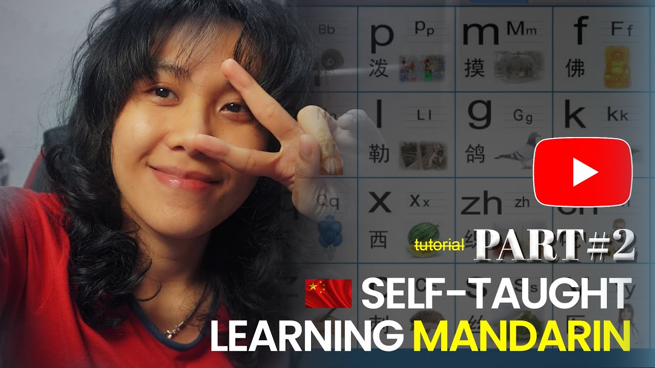 SELF-TAUGHT LEARNING CHINESE | PROCESS 