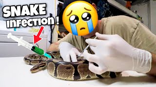 My Pet Snake Has A Deadly Infection ! Rip ?!