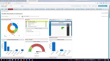 Remedyforce Reporting