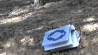 Burn a Koran Day 9/11 - September 11, 2010