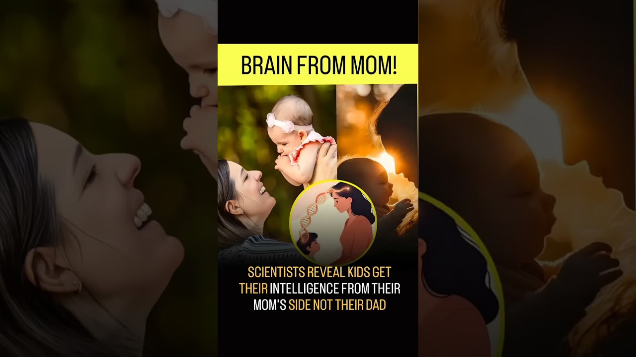 BRAIN FROM MOM!#moms#son#scientist#love#intelligent#brain#motivation#trending#viral#youtubeshorts#yt
