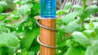 World's Coolest - Rain Gauge